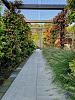 Patio square 60x60x4 cm concrete