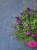 Dikformaat XL 28x7x8 cm antraciet (320 stuks per pak)