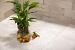 GeoCeramica® 60x60x4 Motion Beige
