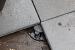 Accessoire tegeldrager Large: Oph.30m