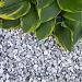 Icy blue split 16-22 mm bulk