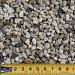 Wit grind 2-8 mm bulk
