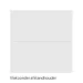 Schellevis Oudhollands Tegel 100x100x5 Carbon