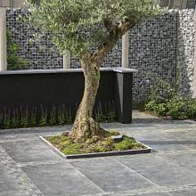 BLUE MOON HONED ANTICATO 60X60X2,5CM