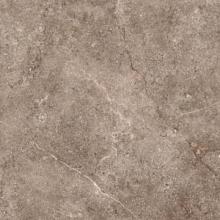 60x60x1  Landstone Earth